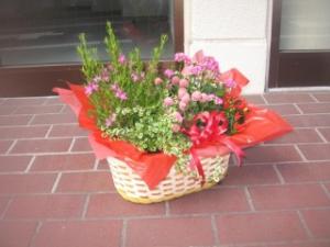 敬老の日の花贈り♪｜「つるのフラワー」　（東京都八王子市の花キューピット加盟店 花屋）のブログ