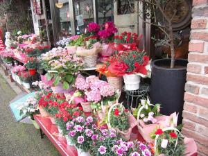 母の日がもうすぐです！|「つるのフラワー」　（東京都八王子市の花屋）のブログ