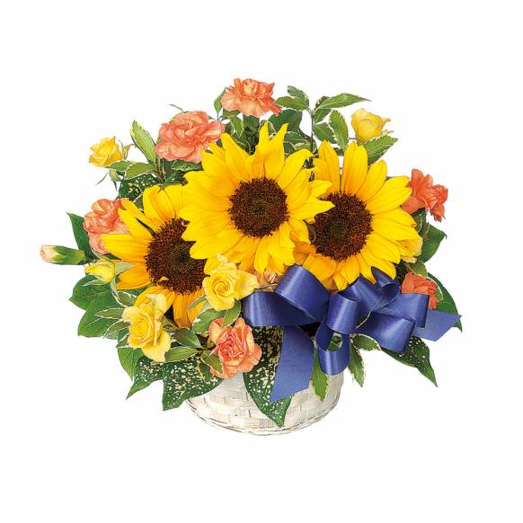 父の日の花 東京都八王子市の花屋 つるのフラワーにフラワー ギフトはお任せください 当店は 安心と信頼の花キューピット加盟店です 花キューピットタウン 父の日の花 東京都八王子市の花屋 つるのフラワーにフラワー ギフトはお任せください 当店は 安心と信頼の花キューピット加盟店です 花キューピットタウン