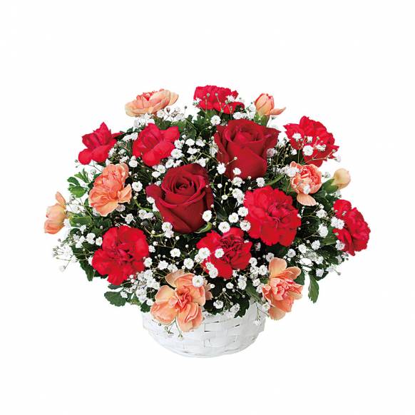 3000円 5000円まで の花 東京都八王子市の花屋 つるのフラワーにフラワー ギフトはお任せください 当店は 安心と信頼の花キューピット加盟店です 花キューピットタウン 3000円 5000円まで の花 東京都八王子市の花屋 つるのフラワーにフラワー ギフトはお任せください 当店は 安心と信頼の花キューピット加盟店です 花キューピットタウン